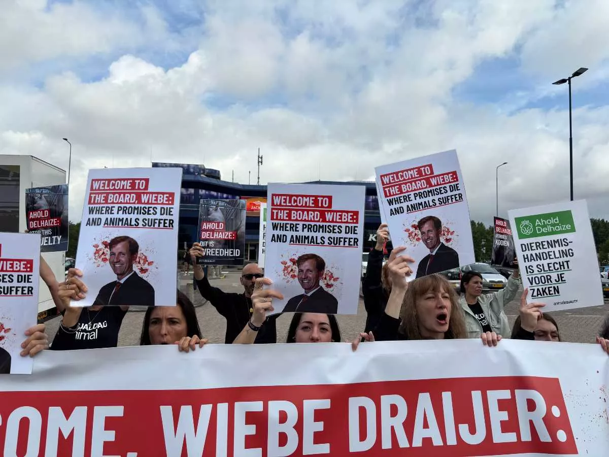 Activistas de Igualdad Animal frente a la junta de accionistas de Ahold Delhaize.