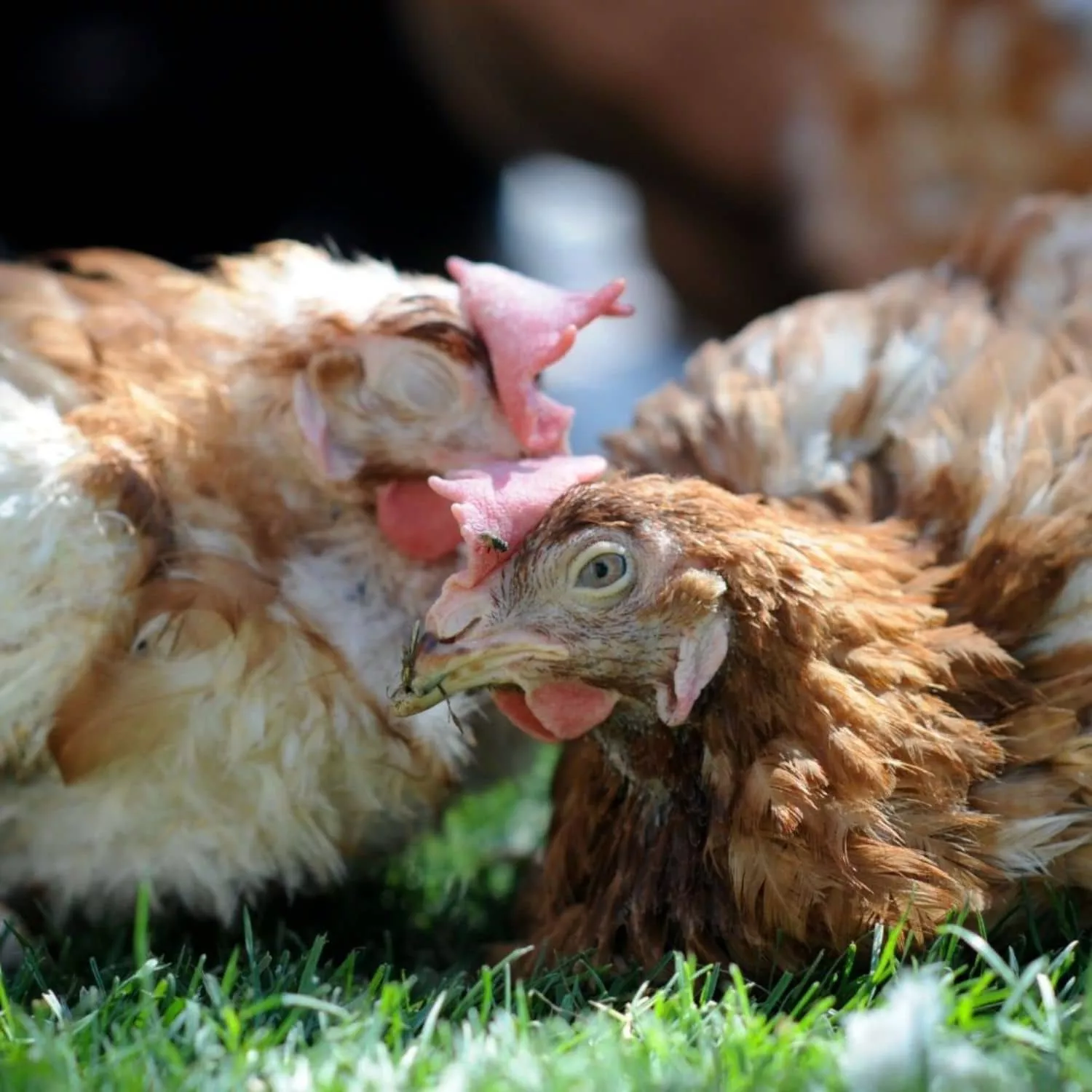 Informe de Impacto verano 2025