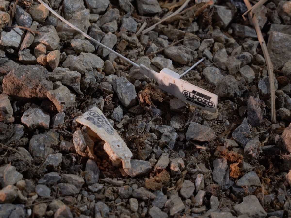Crotales de El Pozo en la granja de los hermanos Carrasco.
