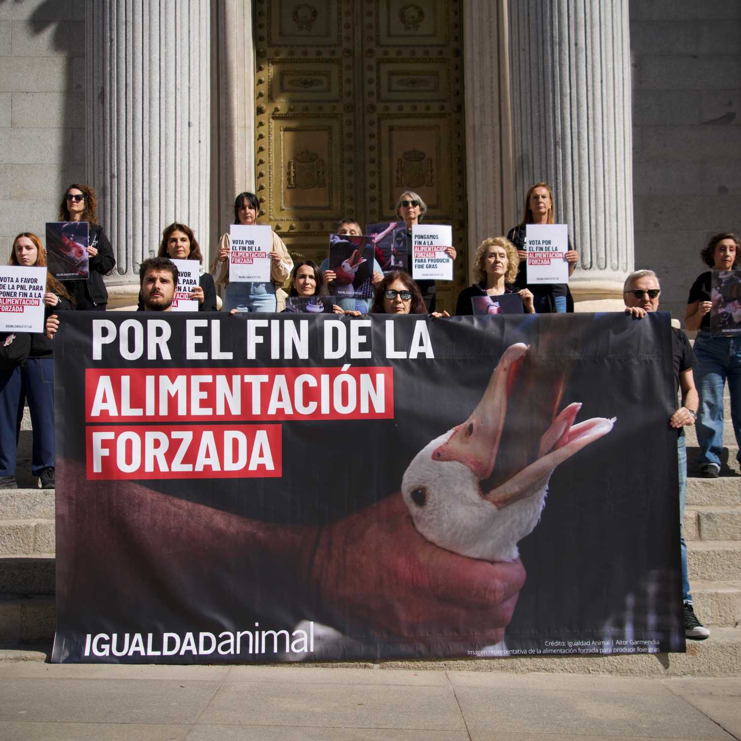 Protesta en el Congreso reclamando el fin de la alimentación forzada