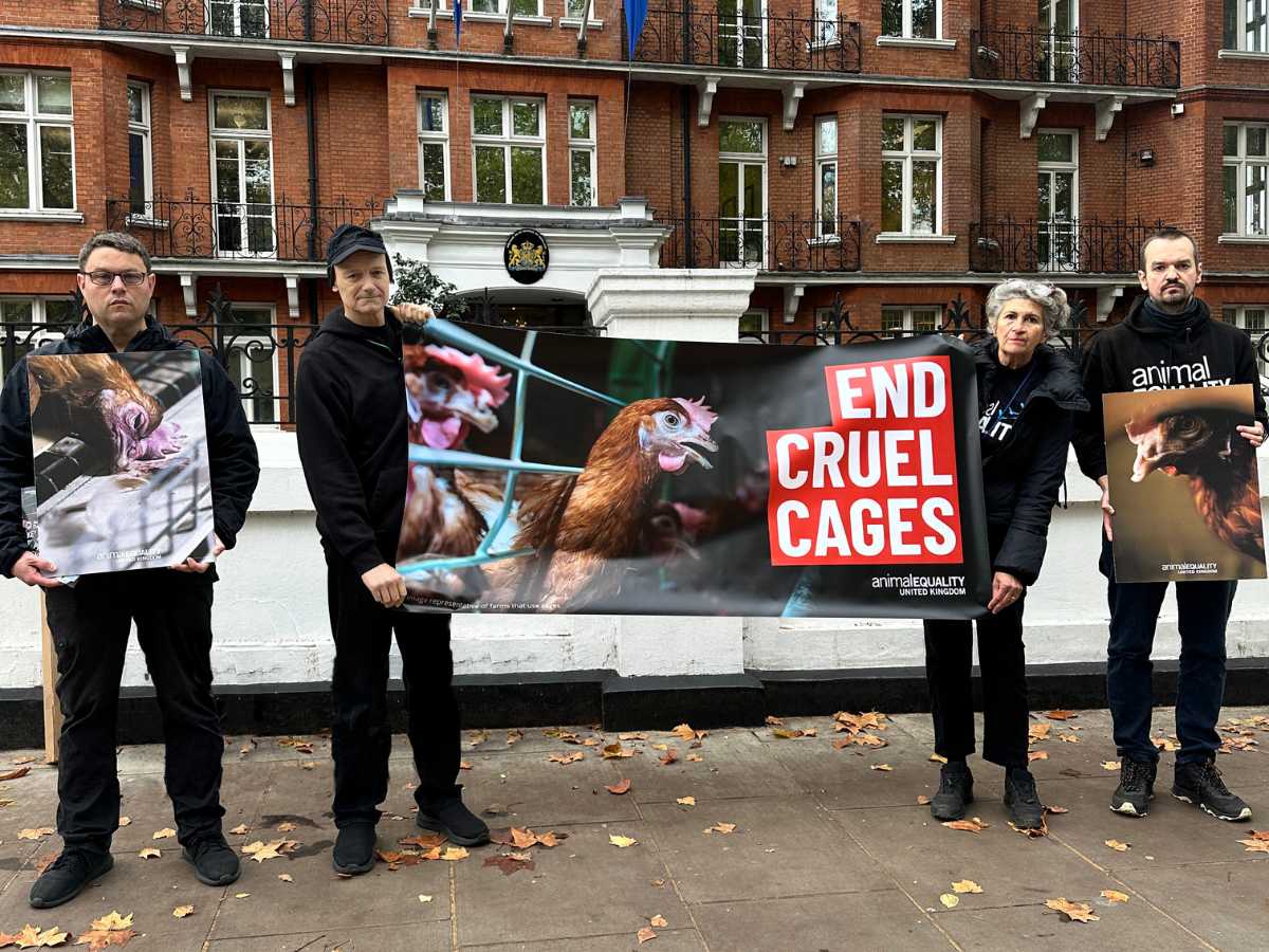 Activistas protestas en la embajada de Países Bajos en Londres.