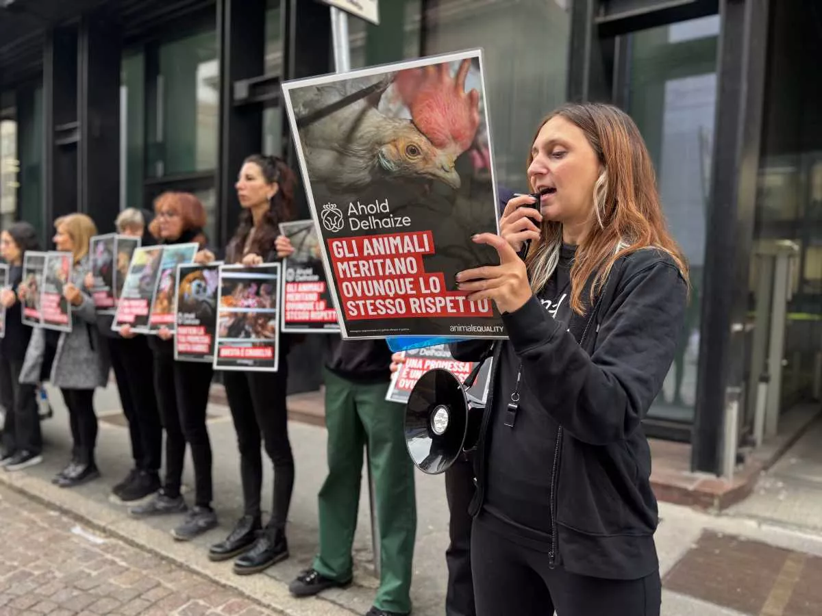 Activistas desafían a Ahold Delhaize en 6 embajadas 7 Activistas protestan en Milán contra Ahold Delhaize