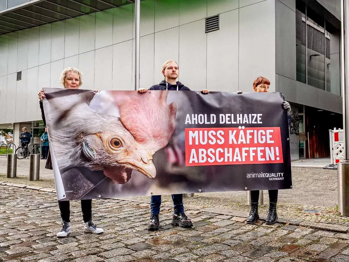 Activistas desafían a Ahold Delhaize en 6 embajadas 6