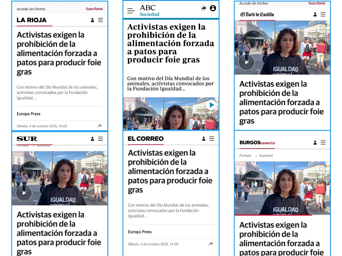 Repercusión en medios de la protesta de Igualdad Animal en Madrid reclama la alimentación forzada.