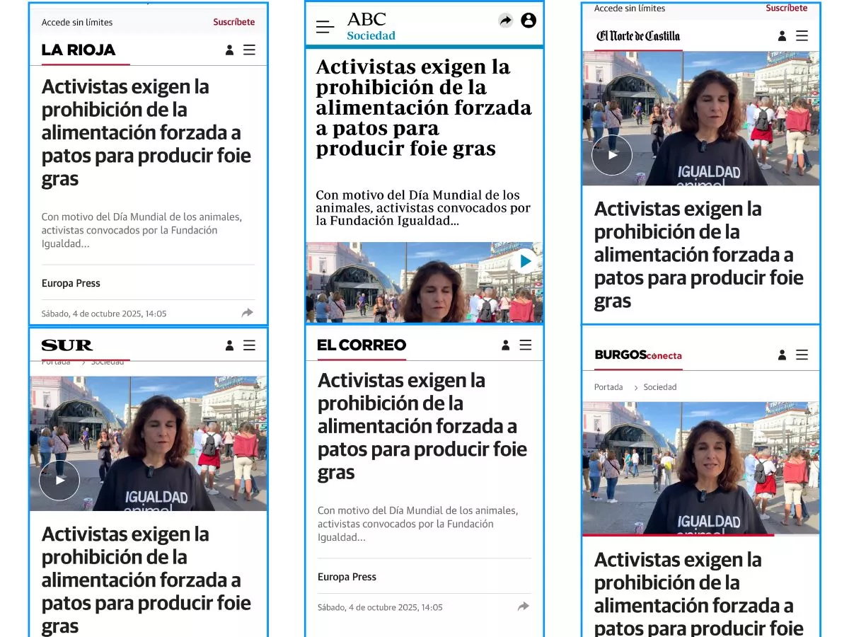Repercusión en medios de la protesta de Igualdad Animal en Madrid reclama la alimentación forzada.
