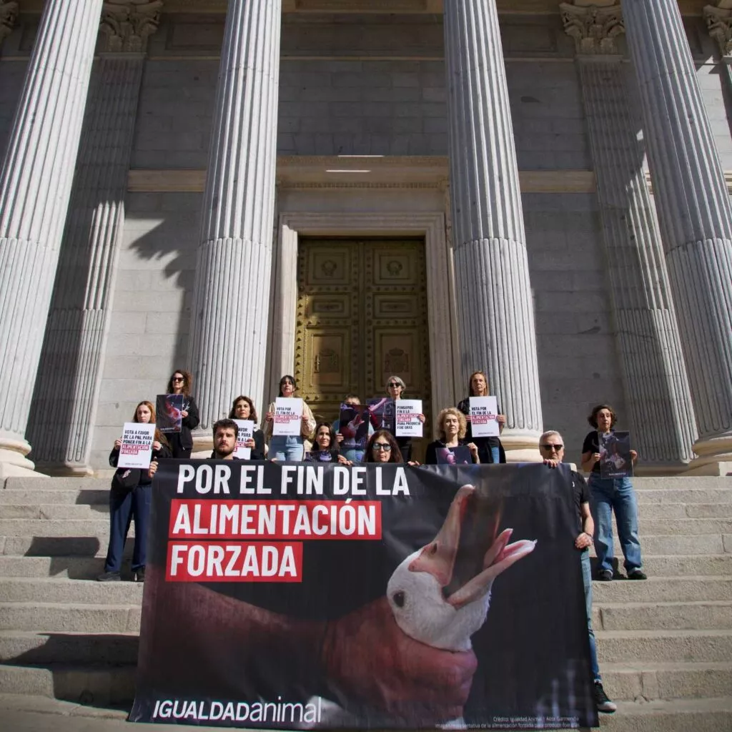 Protesta reclama el fin de la alimentación forzada en el Congreso.