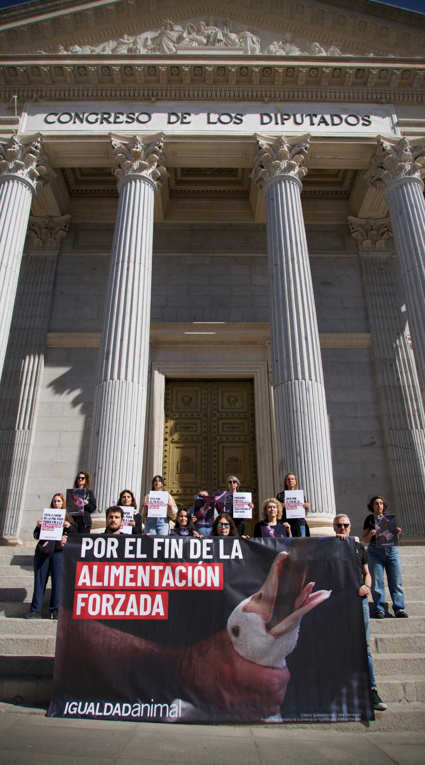 Protesta frente al Congreso reclama el fin de la alimentación forzada