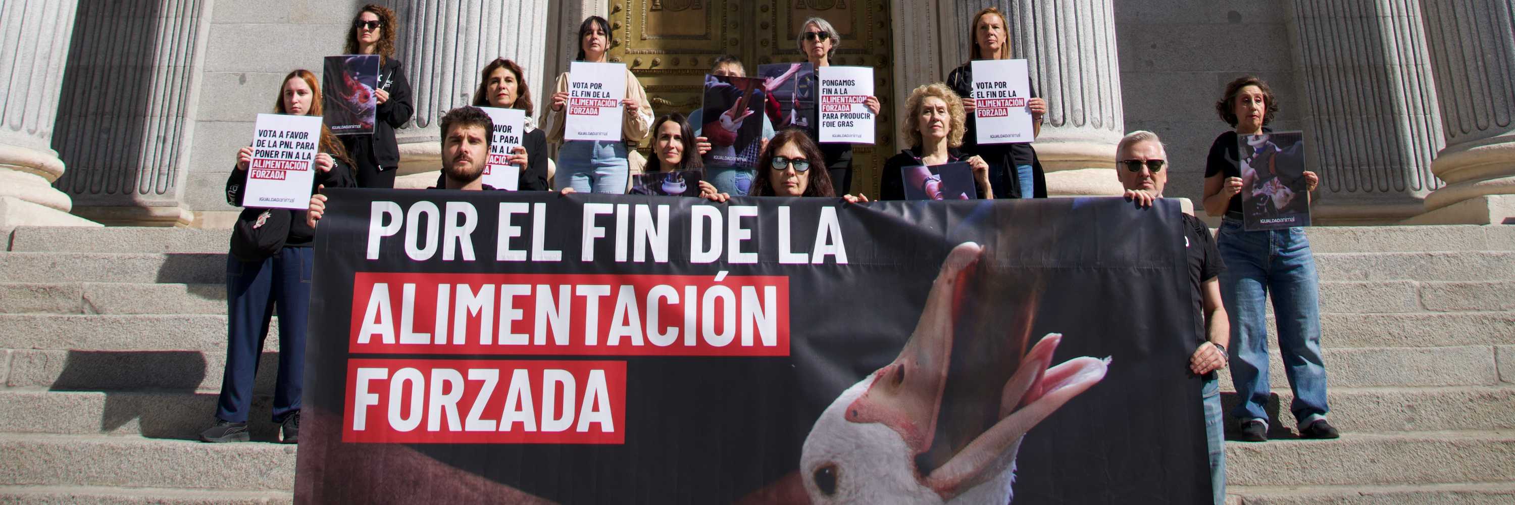 Protesta en el Congreso reclama la prohibición de la alimentación forzada