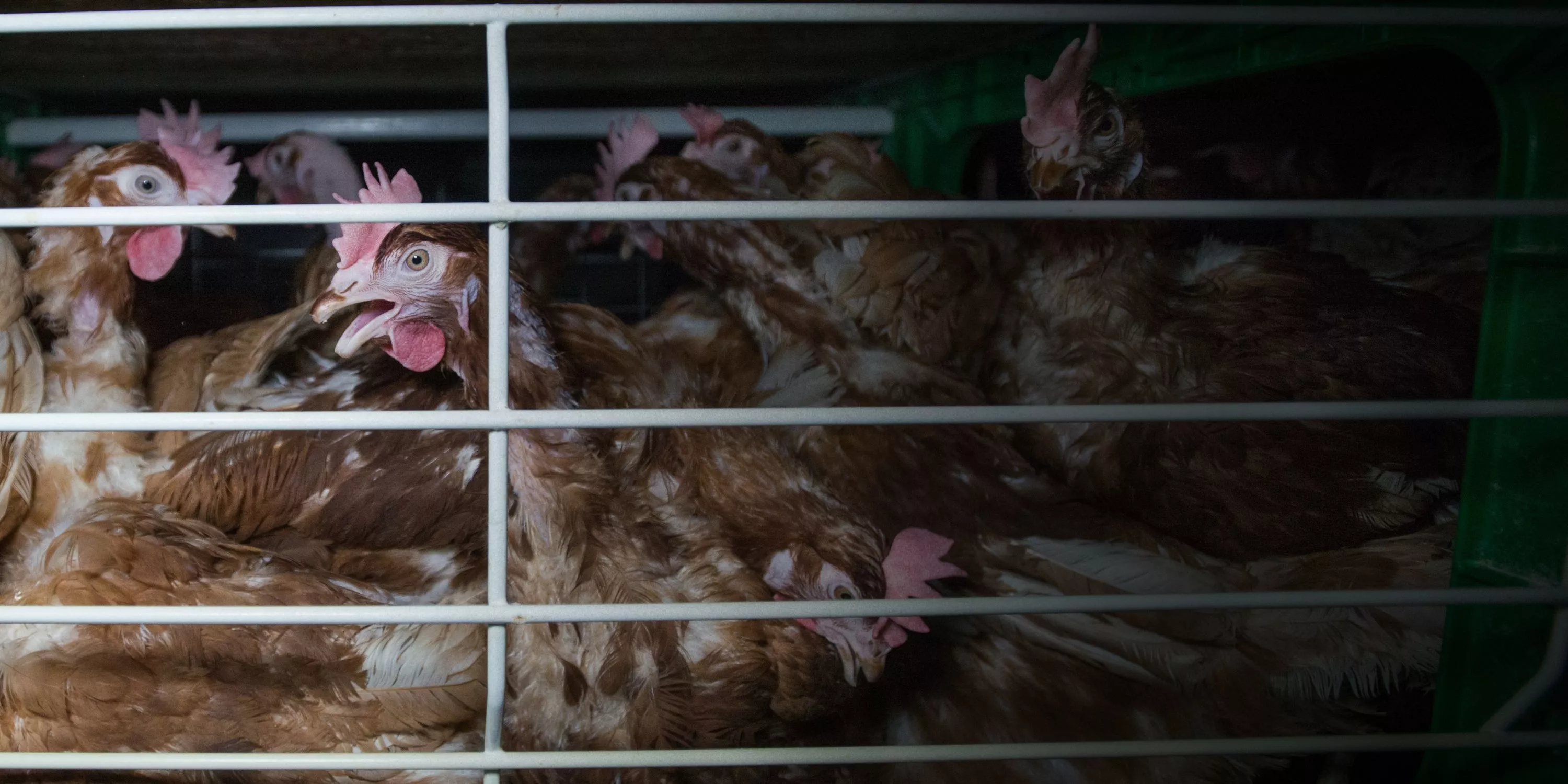 ¡Dile a la UE lo que piensas! 1