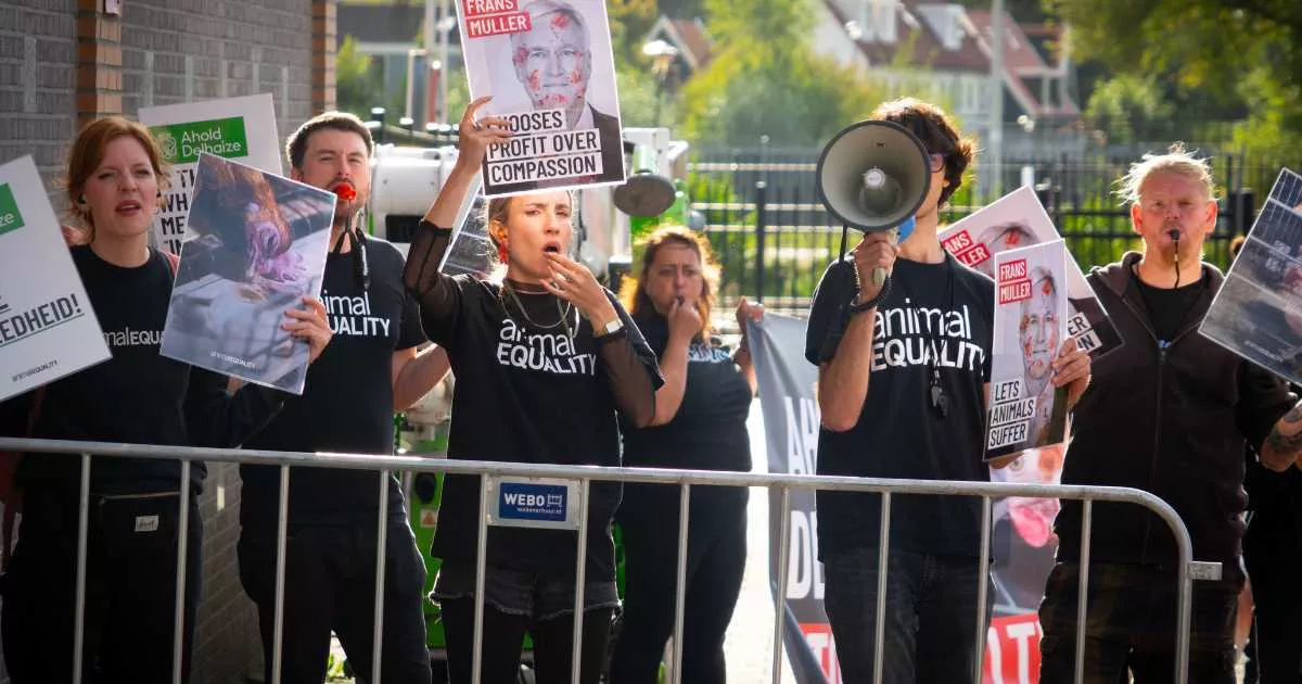 Activistas protestan en Ámsterdam frente a la sede de Ahold Delhaize 