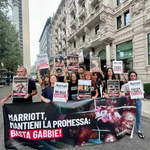 Activistas de Igualdad Animal protestan en Italia en las puertas de Marriott