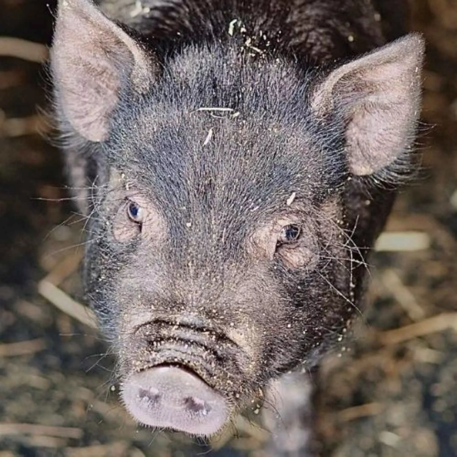 Informe de impacto otoño 2025