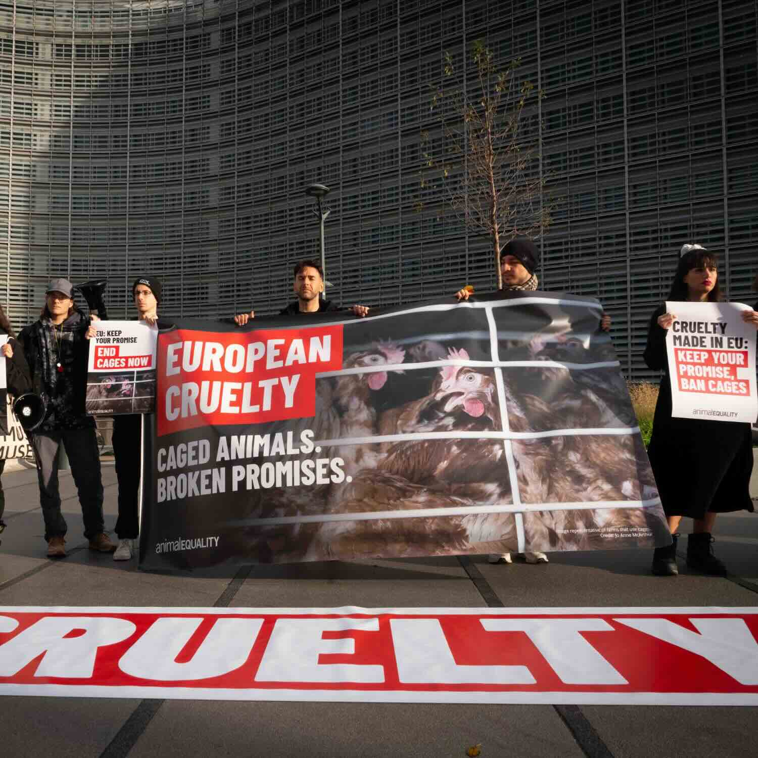 Noticia consulta europea bienestar animal