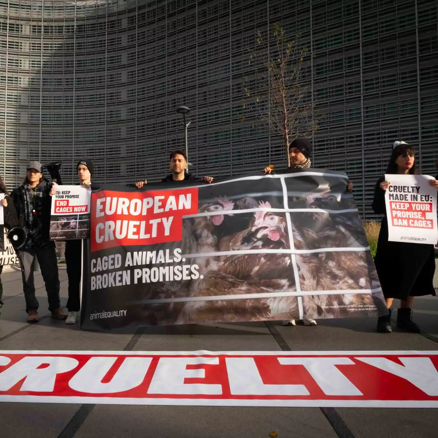 La consulta europea sobre bienestar animal cierra con una gran participación