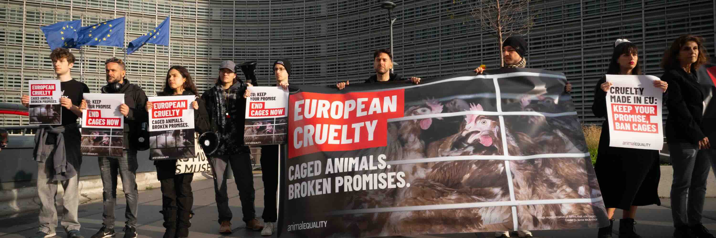 Consulta europea bienestar animal