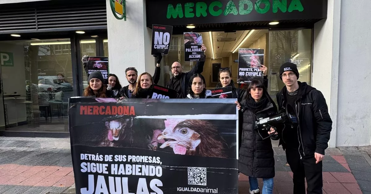 Protesta Mercadona viernes 23 de enero