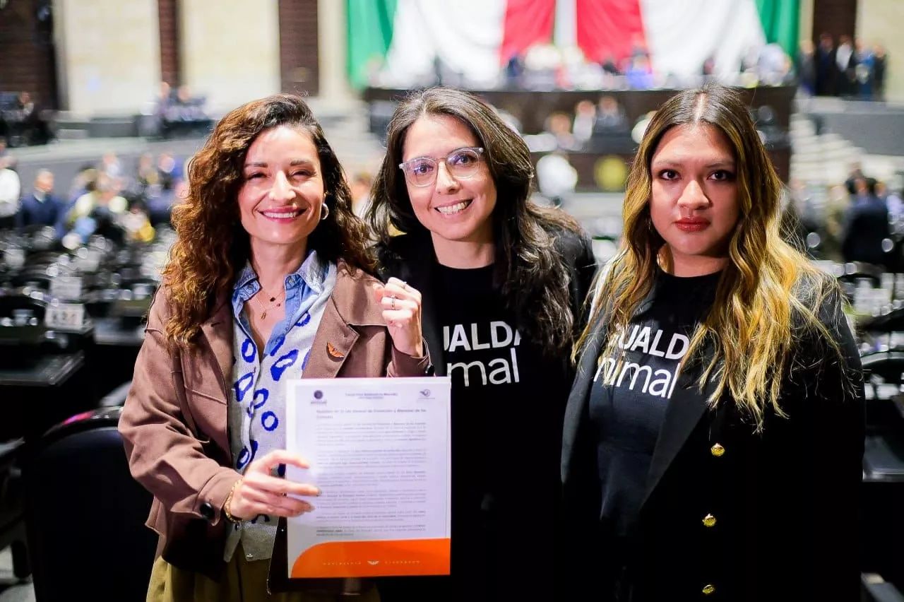 Ley general de protección animal impulsada en México 5 Ley protección animal en México