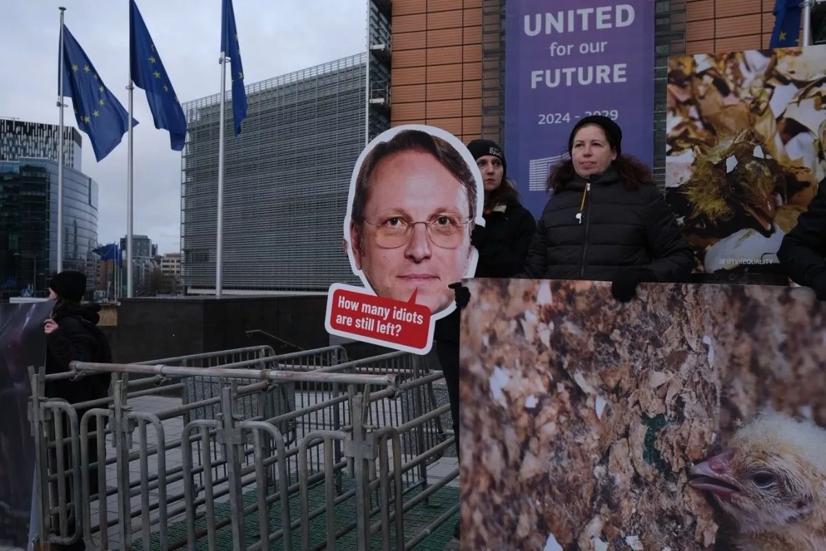 Igualdad Animal instala jaulas frente a la Comisión Europea 1