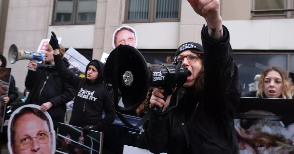 European Campaigns Communications Manager 1 Activistas de Igualdad Animal protestan en Bruselas