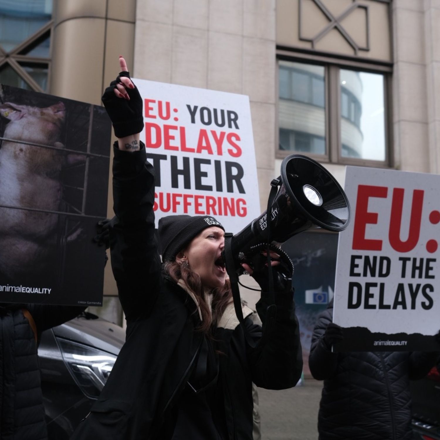 Activistas de Igualdad Animal protestan frente a DG SANTE en Bruselas