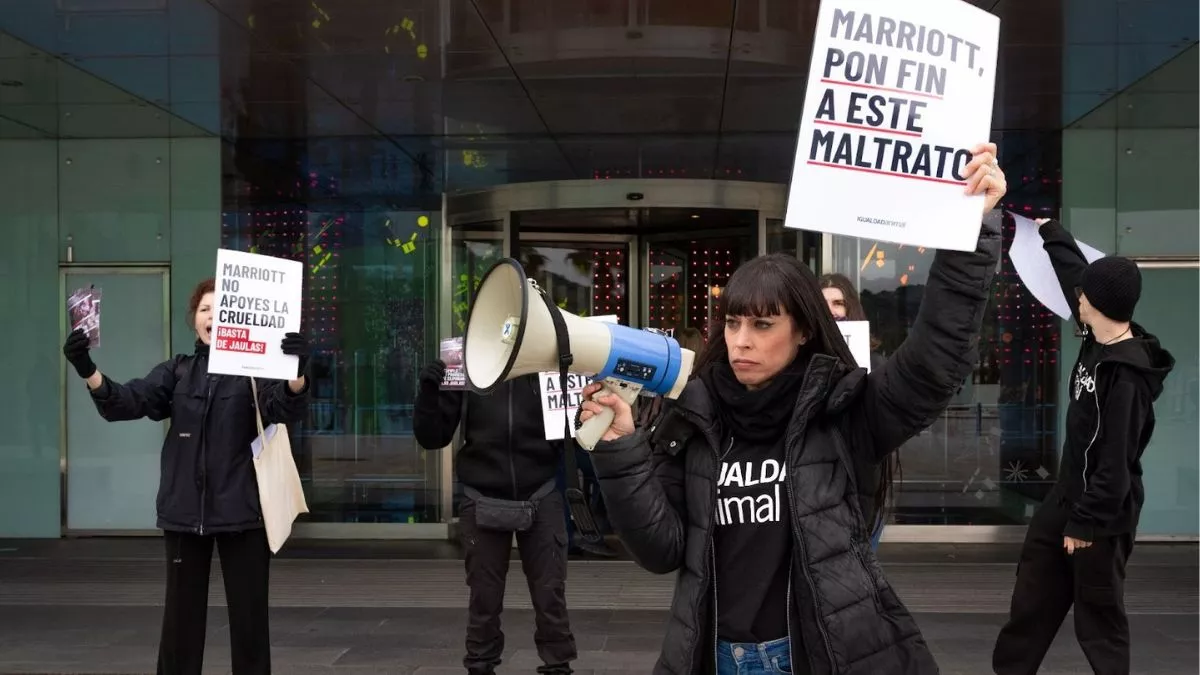 Fin de semana de charla y activismo en Barcelona 3