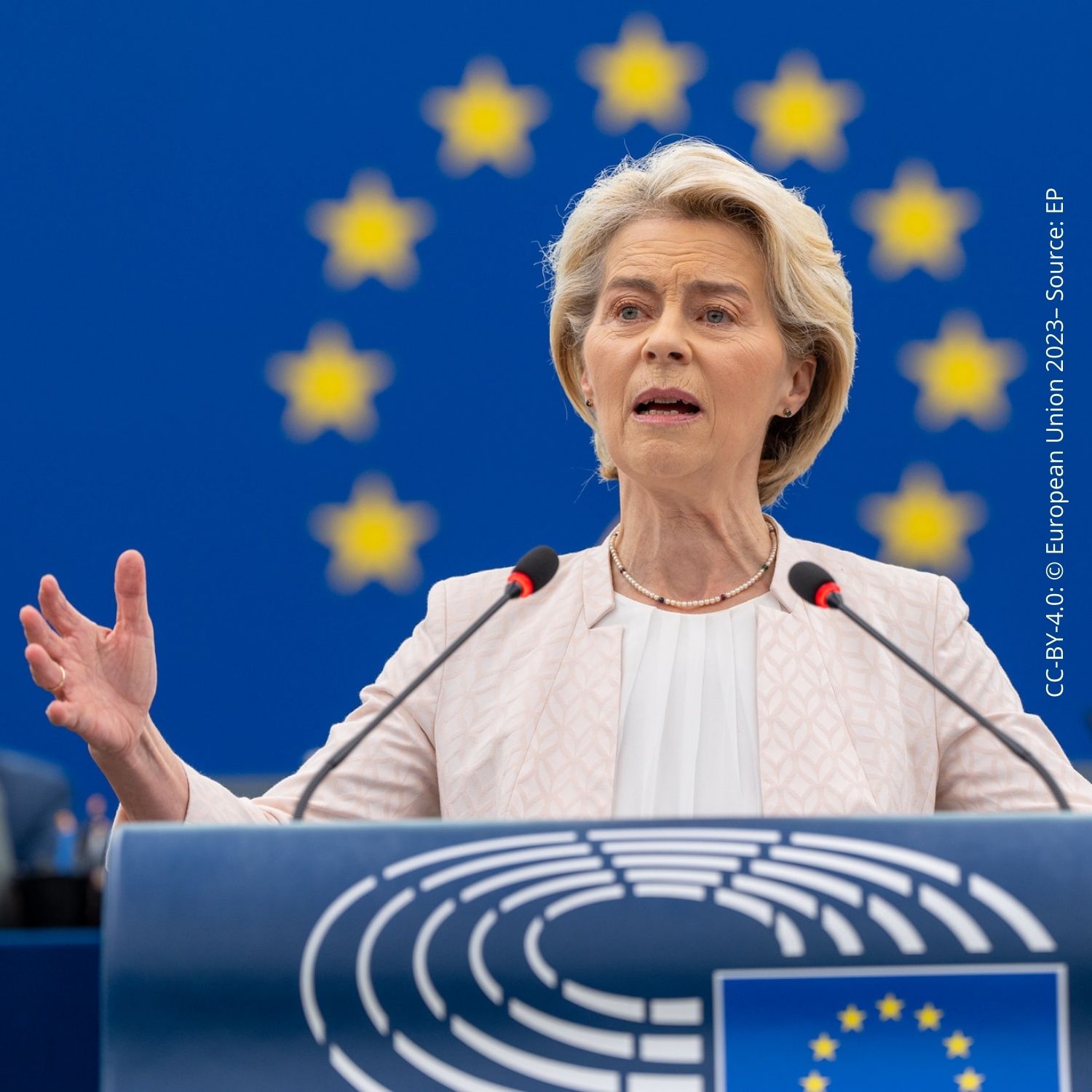Speak Up for Animals Across Europe 15