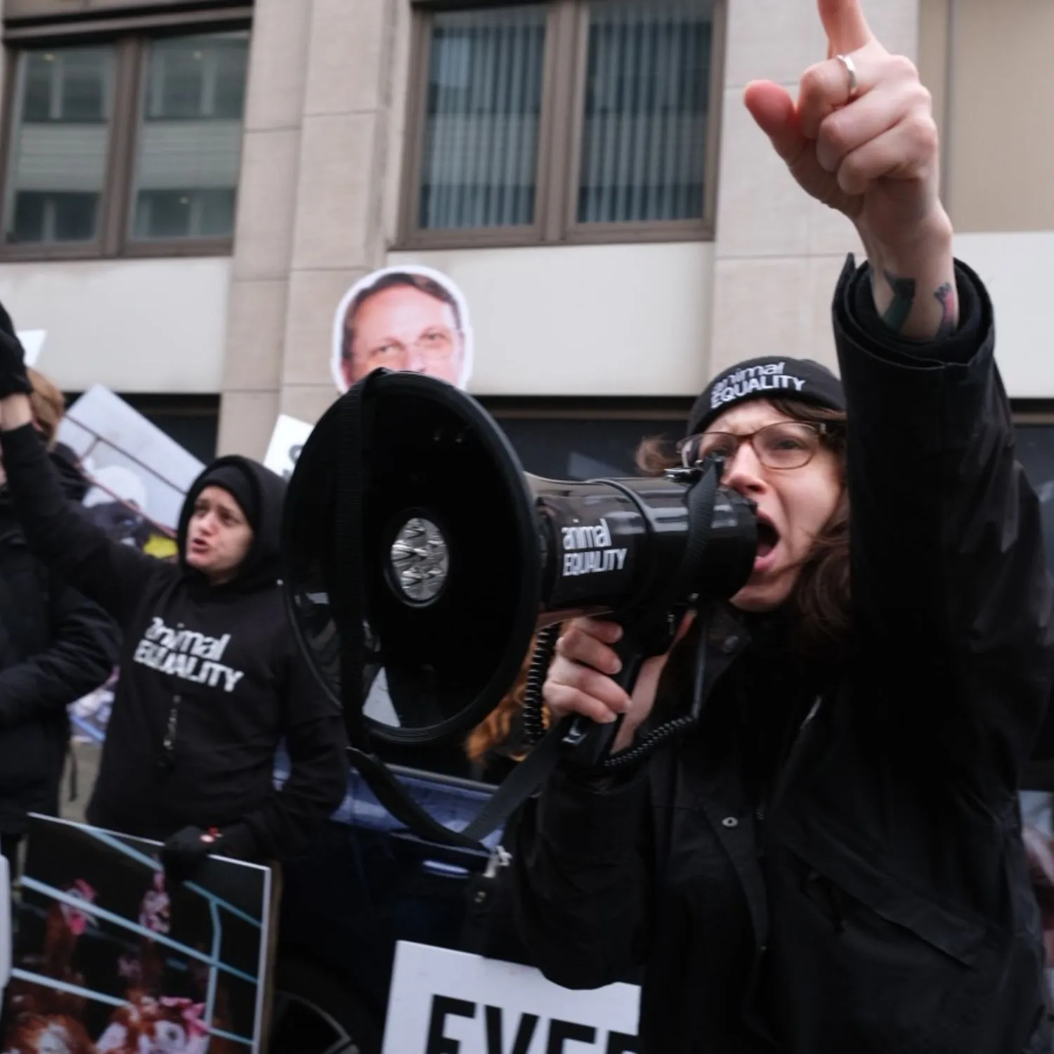 La industria ganadera domina el acceso a quienes toman decisiones en la UE mientras se retrasan reformas clave de bienestar animal