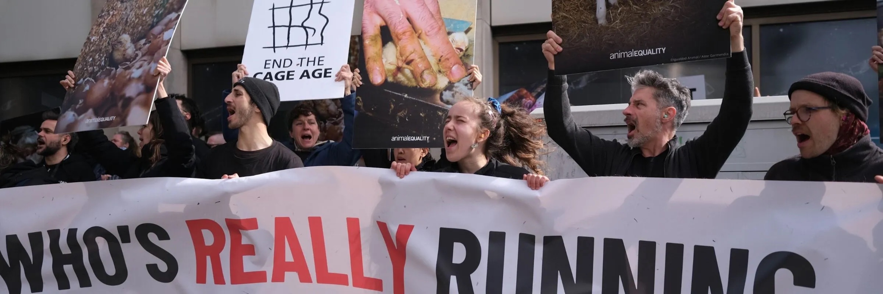 Más de 100 activistas protestan frente a la puerta del Comisionado Olivér Várhelyi