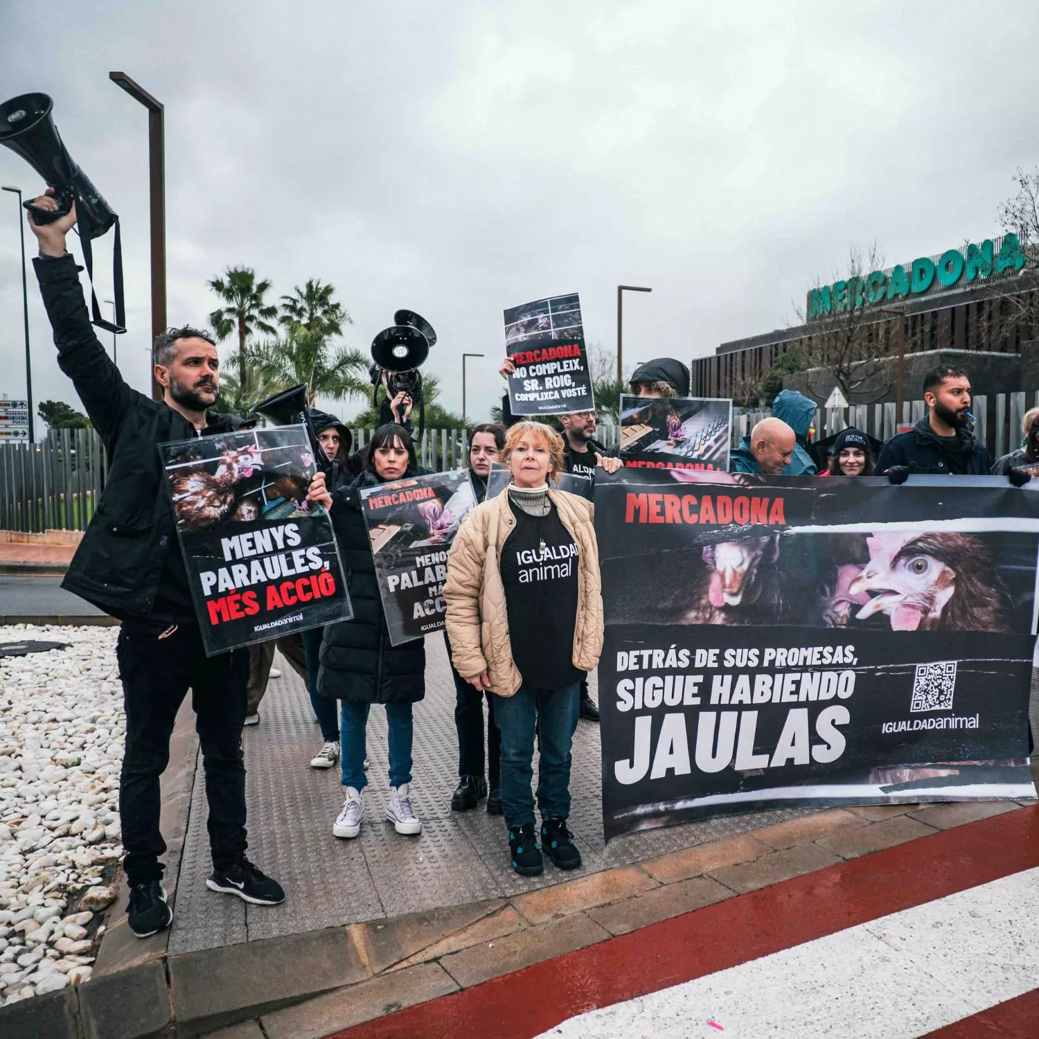 Igualdad Animal intensifica las acciones para exigir a Mercadona que cumpla su compromiso de eliminar los huevos de gallinas enjauladas