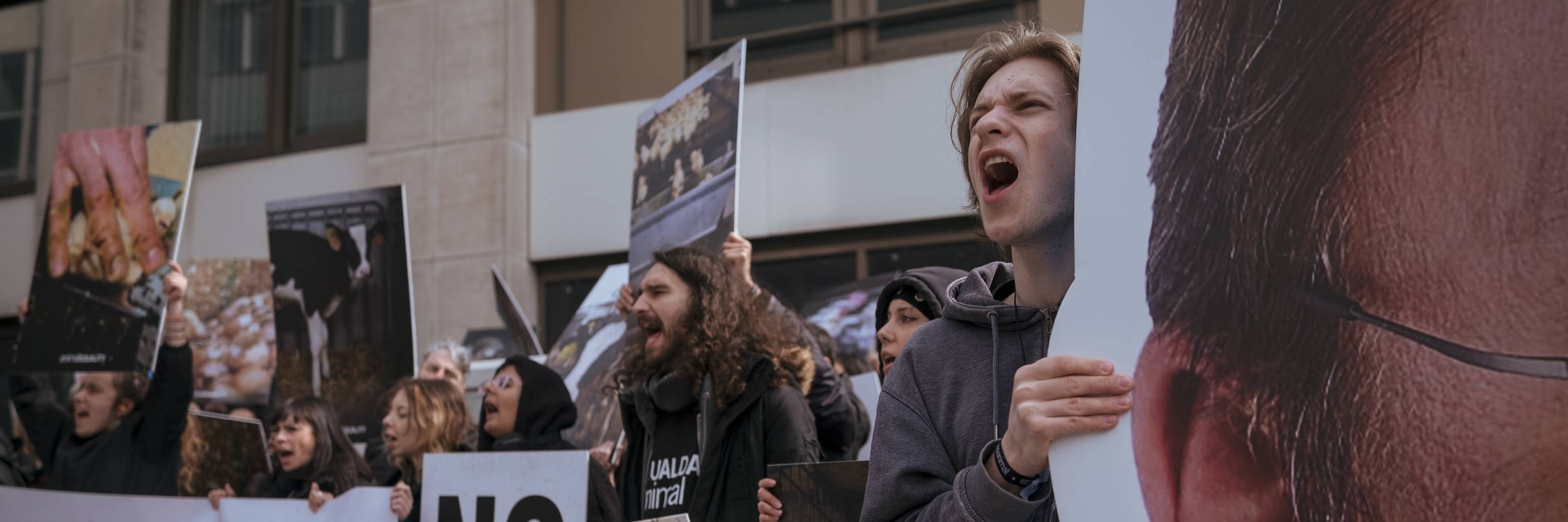 Activstas protestan ante las puertas de la DG Santé en Bruselas.