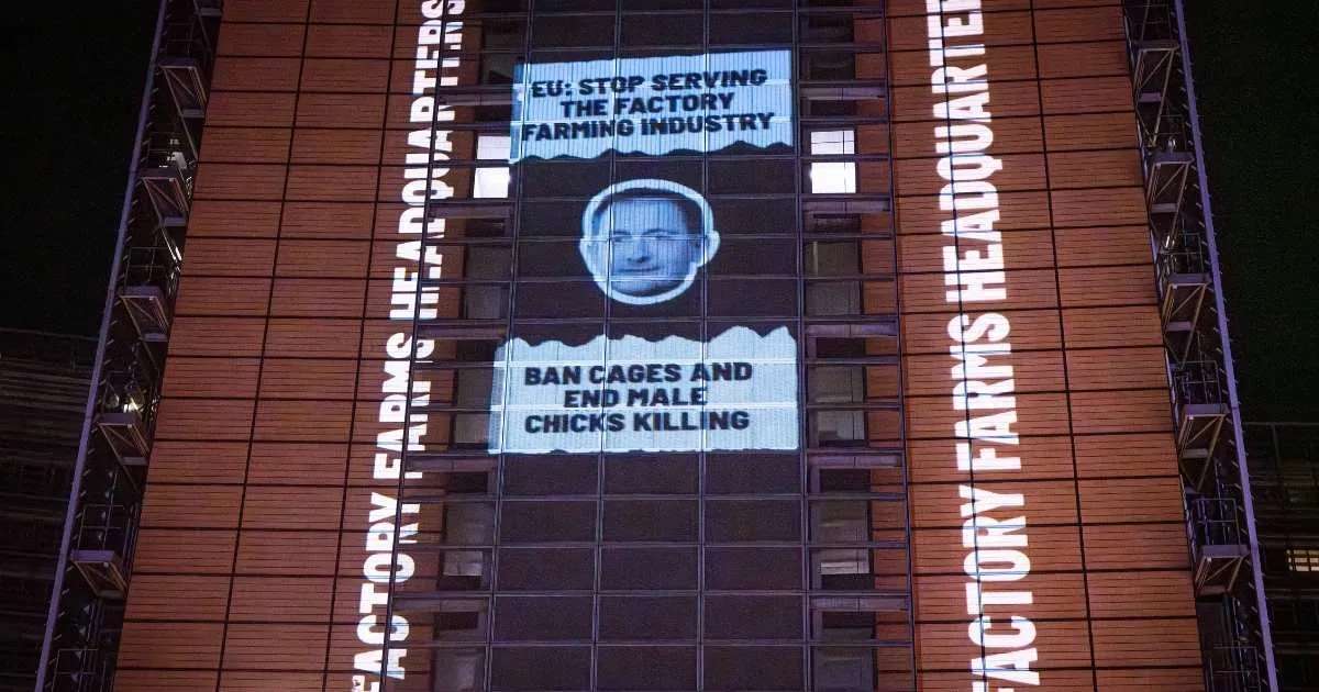 Acción para denunciar la influencia del lobby ganadero en Europa 