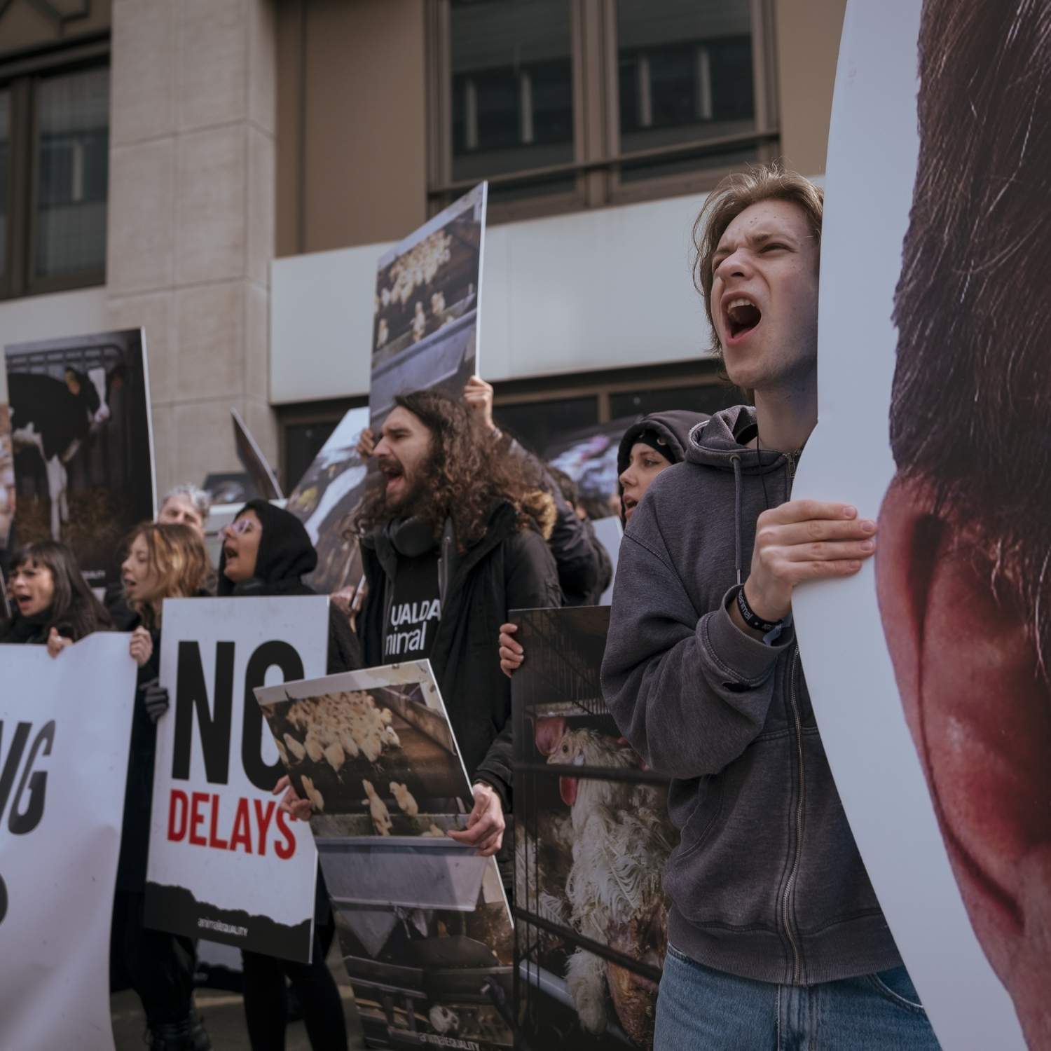 Activstas protestan ante las puertas de la DG Santé en Bruselas.