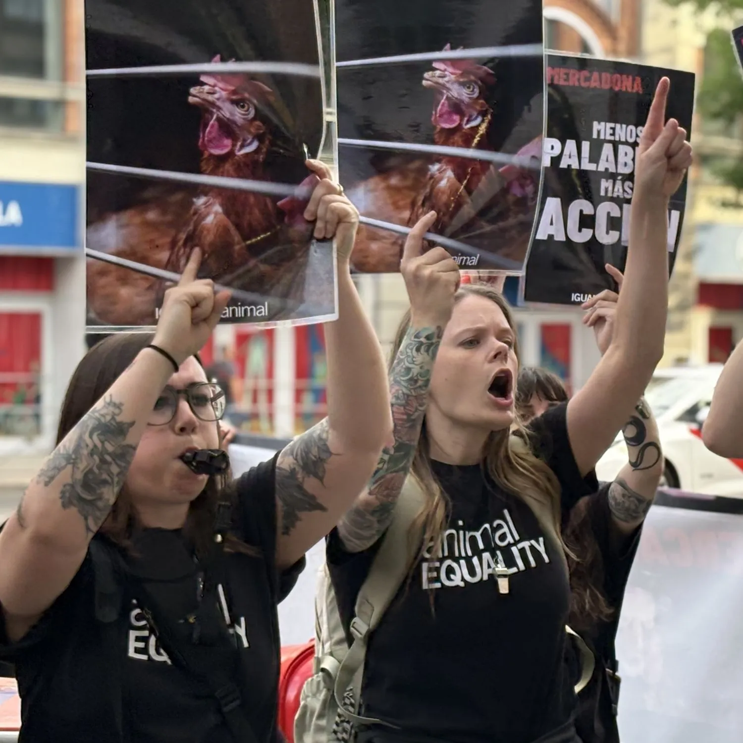 Protestas frente a Mercadona para que deje de vender huevos de gallinas enjauladas