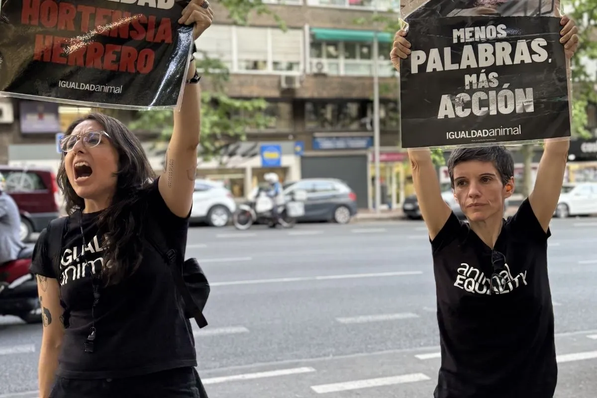 Noticia nuevas protestas a Mercadona en Madrid