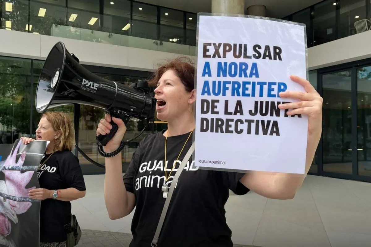 Activistas vuelven a protestar frente a Mytheresa 2