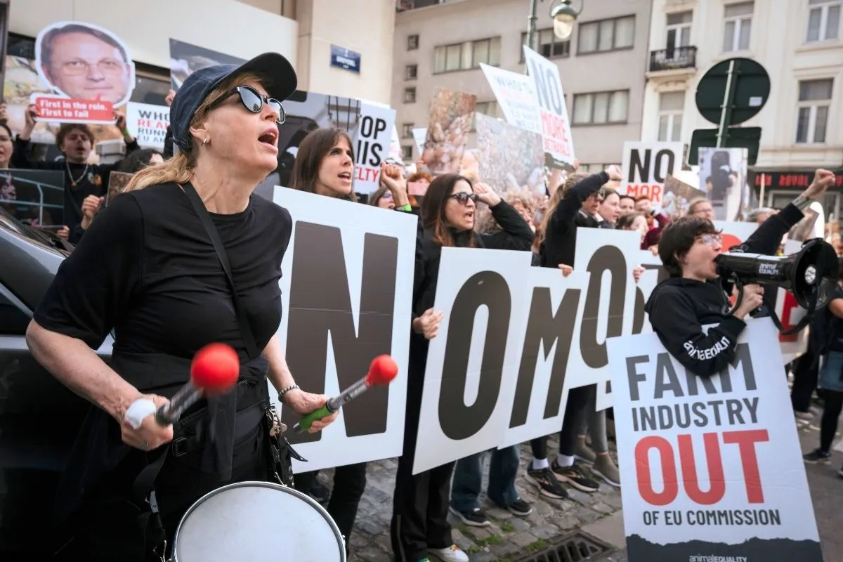 Blog en directo desde Bruselas: la “Marcha de los Traidores” contra la traición de la Comisión de la UE 7