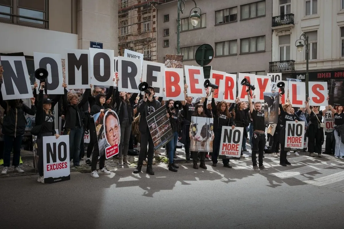 Blog en directo desde Bruselas: la “Marcha de los Traidores” contra la traición de la Comisión de la UE 6