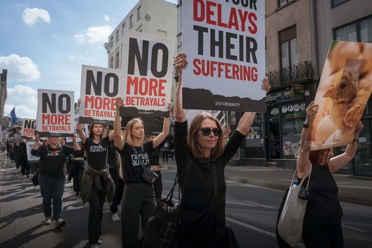 Blog en directo desde Bruselas: la “Marcha de los Traidores” contra la traición de la Comisión de la UE 2