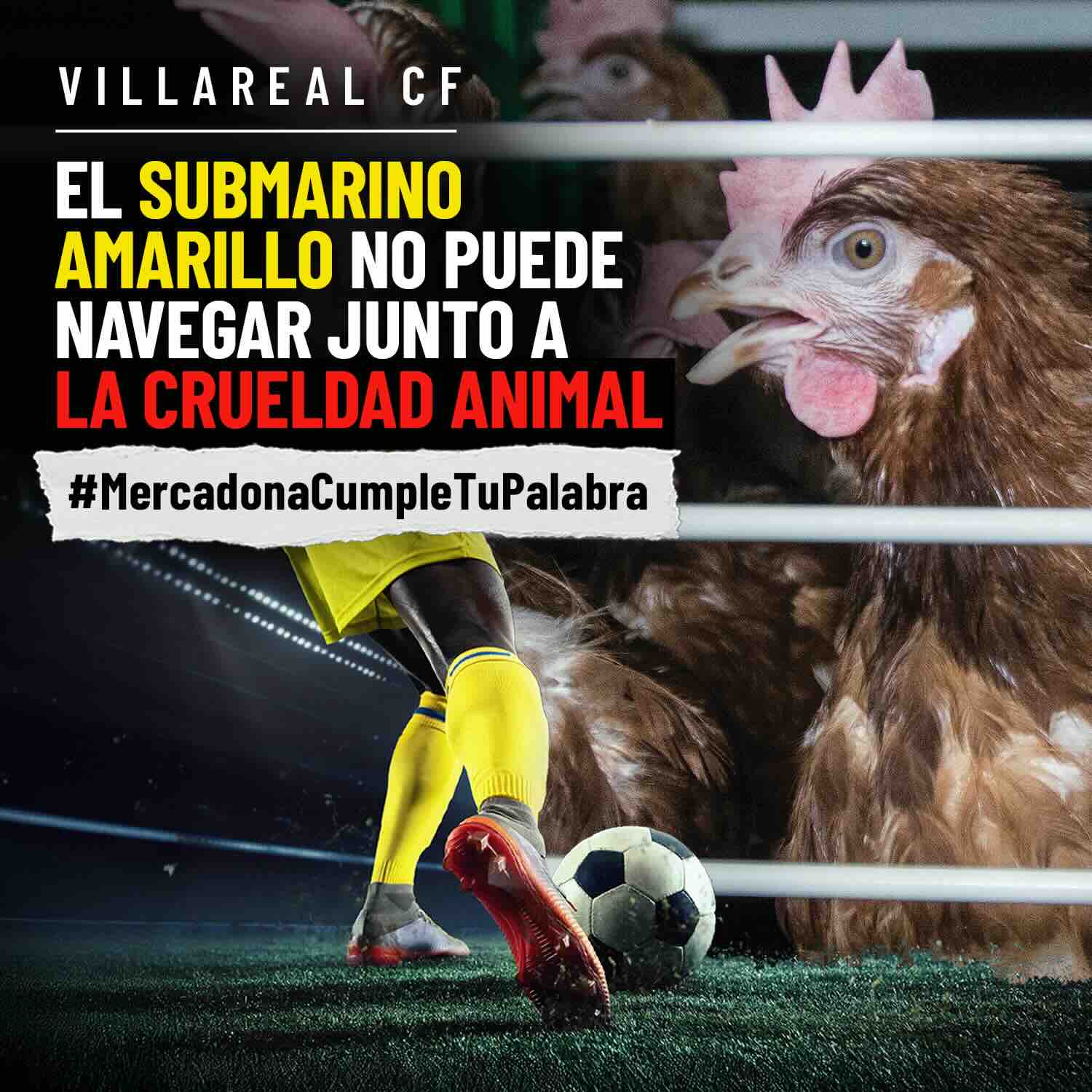 Noticia Villarreal CF Mercadona