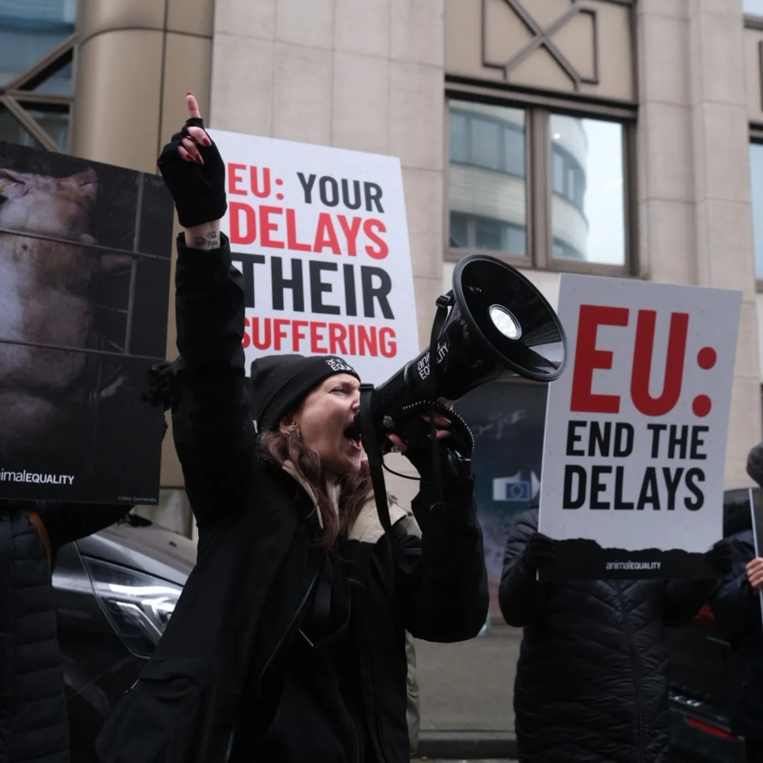 El Parlamento Europeo vota para silenciar a las organizaciones de bienestar animal
