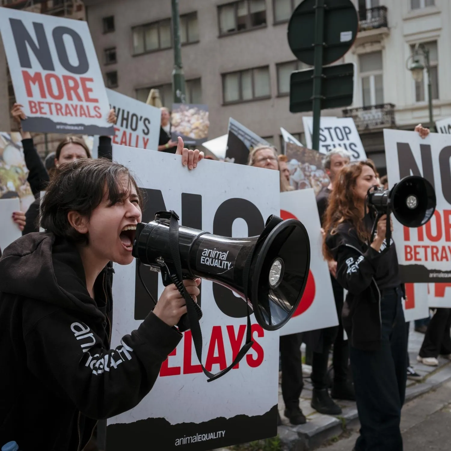 Blog en directo desde Bruselas: la “Marcha de los Traidores” contra la traición de la Comisión de la UE
