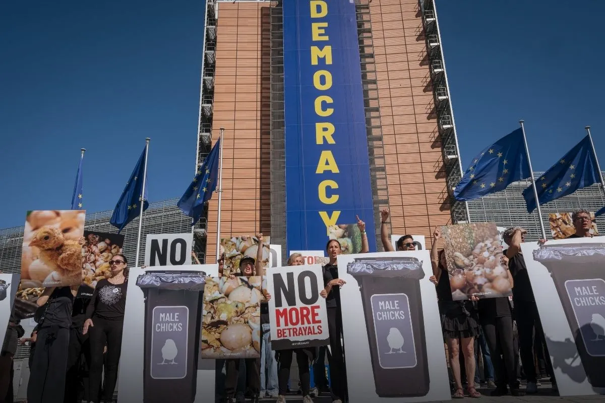 Blog en directo desde Bruselas: «Democracia: proteger lo que importa», pero la Comisión traiciona a los animales. 1