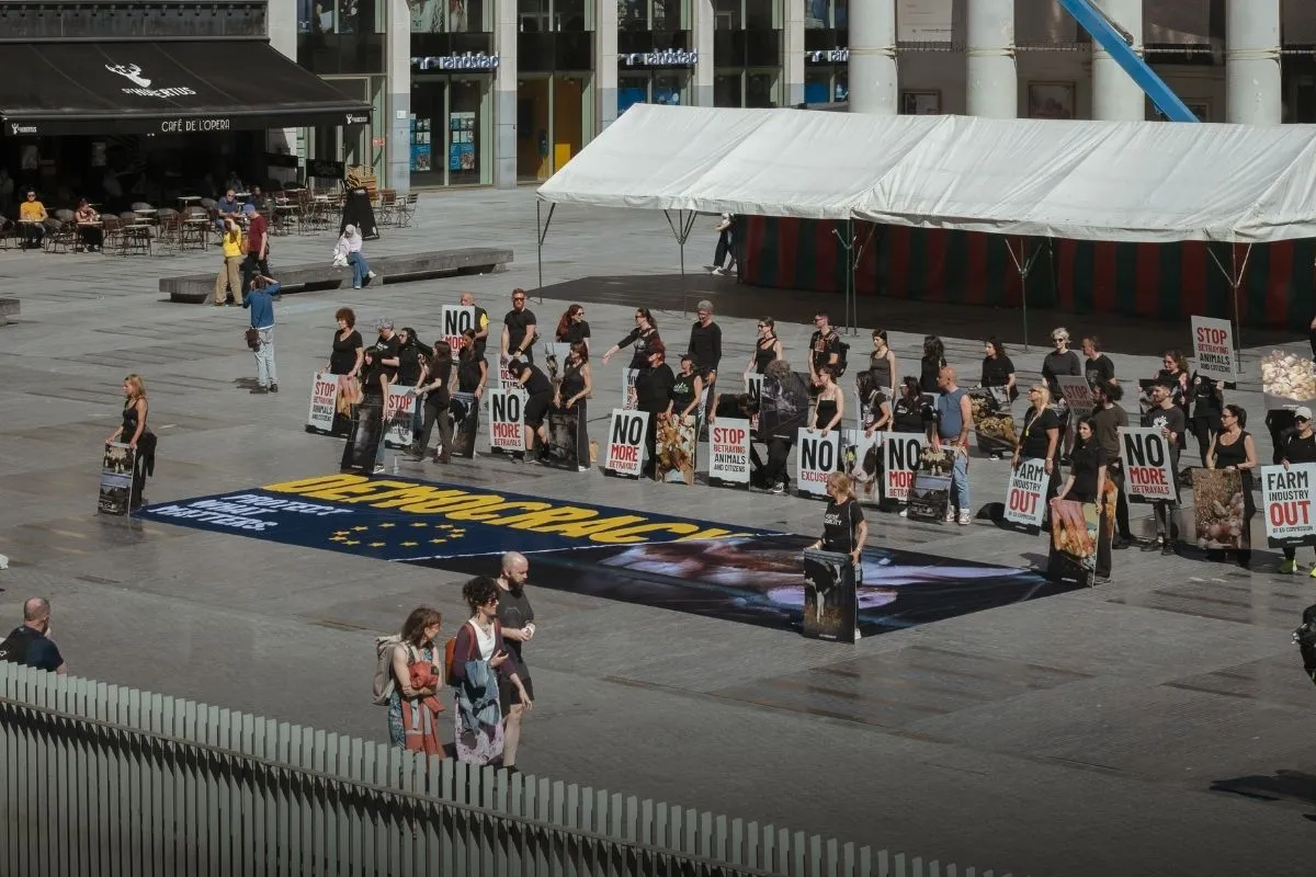 Blog en directo desde Bruselas: «Democracia: proteger lo que importa», pero la Comisión traiciona a los animales. 2