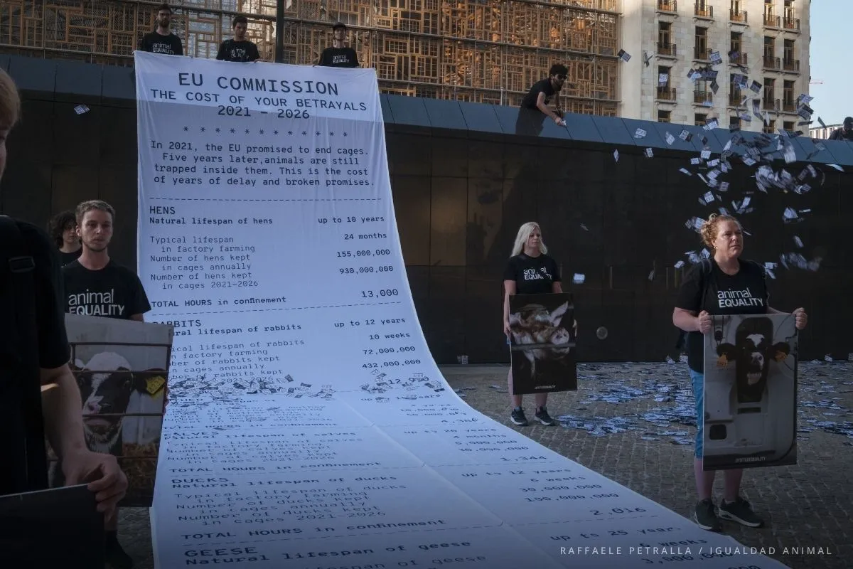 Activistas presentan un recibo simbólico en Bruselas ante la Comision de la UE. 