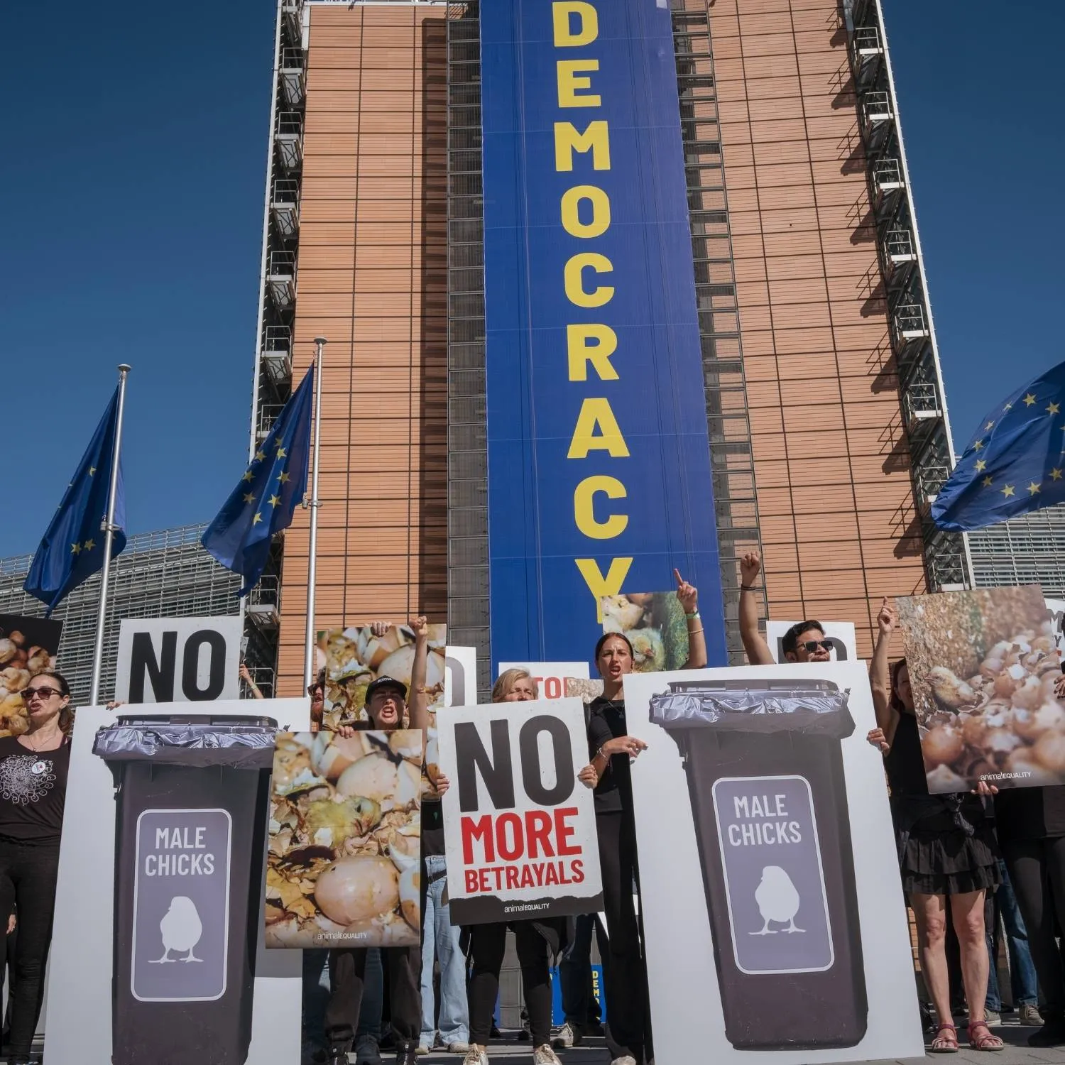 La Comisión Europea decide en julio el futuro de millones de animales en granjas 1 La Comisión Europea decide en julio el futuro de millones de animales en granjas