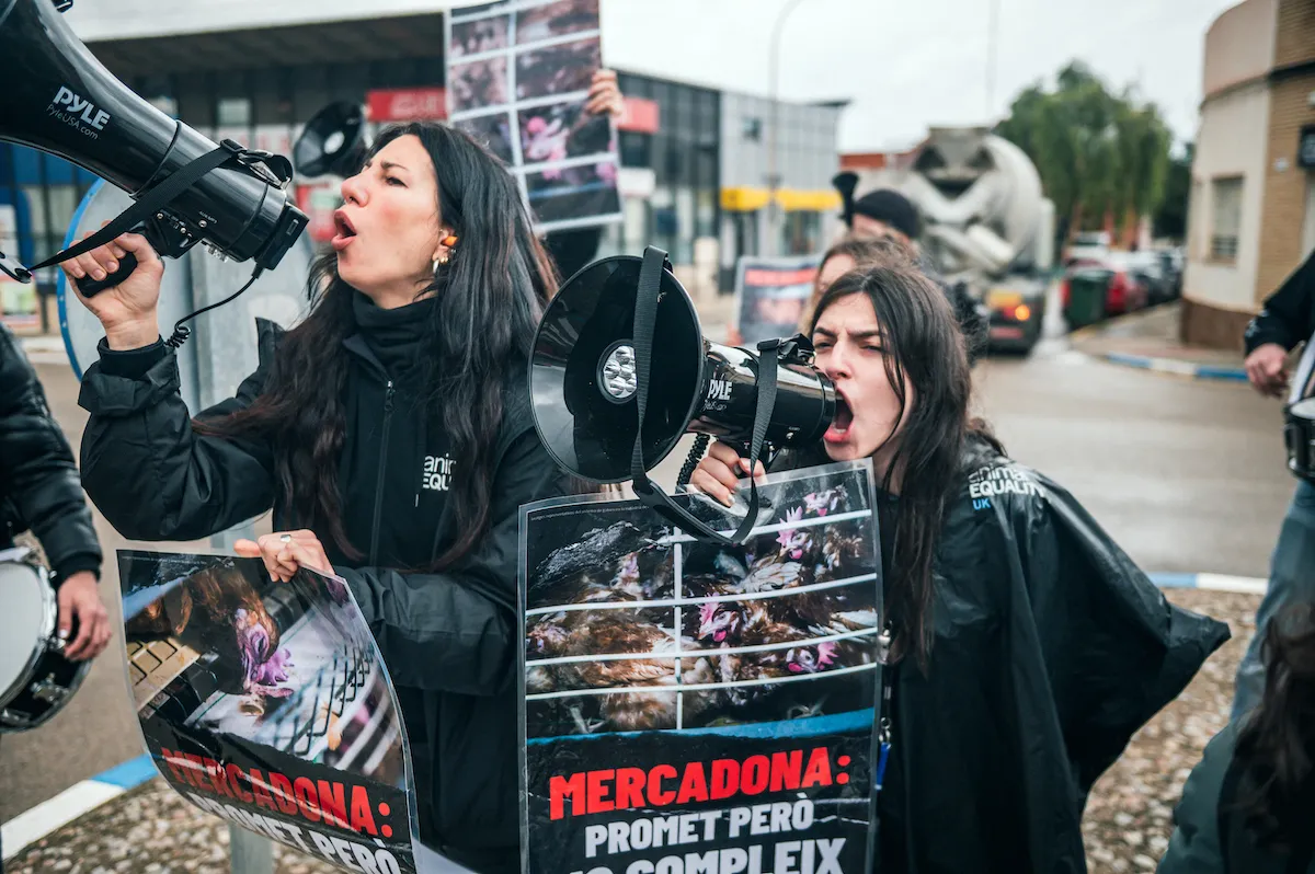 Defensores animales españoles protestando para ayudar a los animales