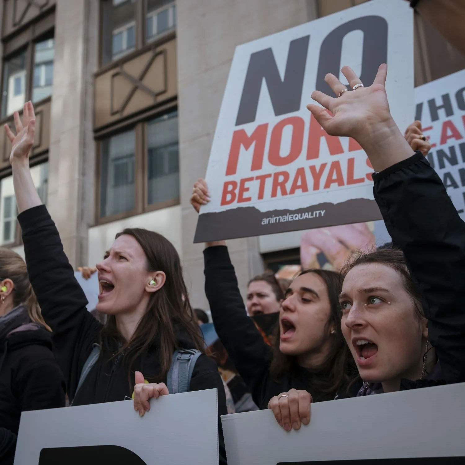 La batalla en Europa por el fin de las jaulas 4 La batalla en Europa por el fin de las jaulas