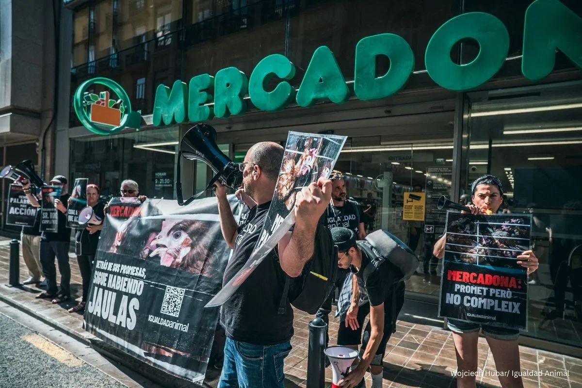 Nueva protesta frente a Mercadona: ¿cuándo va a poner fin a las jaulas para gallinas? 1 Noticia protesta Mercadona Roger Llòria