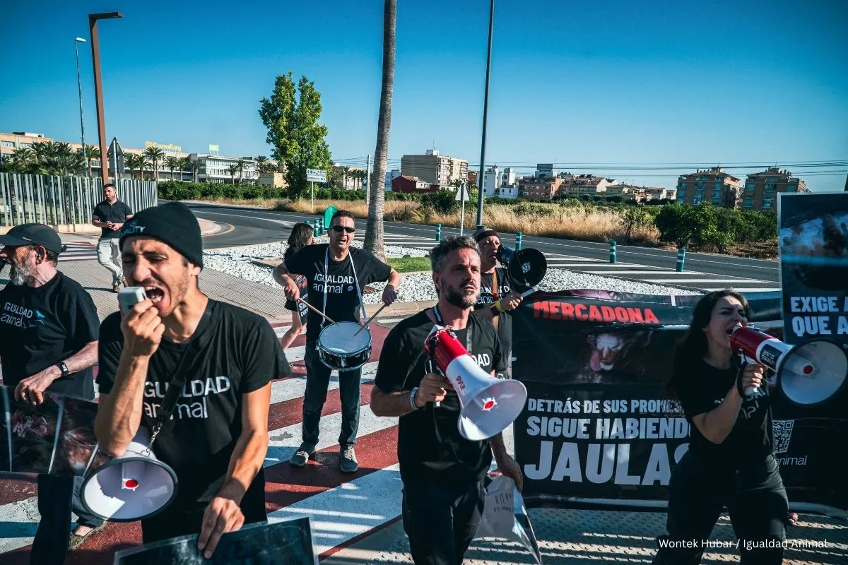 Protesta frente a la sede central de Mercadona reclama que elimine las jaulas para gallinas 1 Noticia protesta sede Mercadona 16 junio