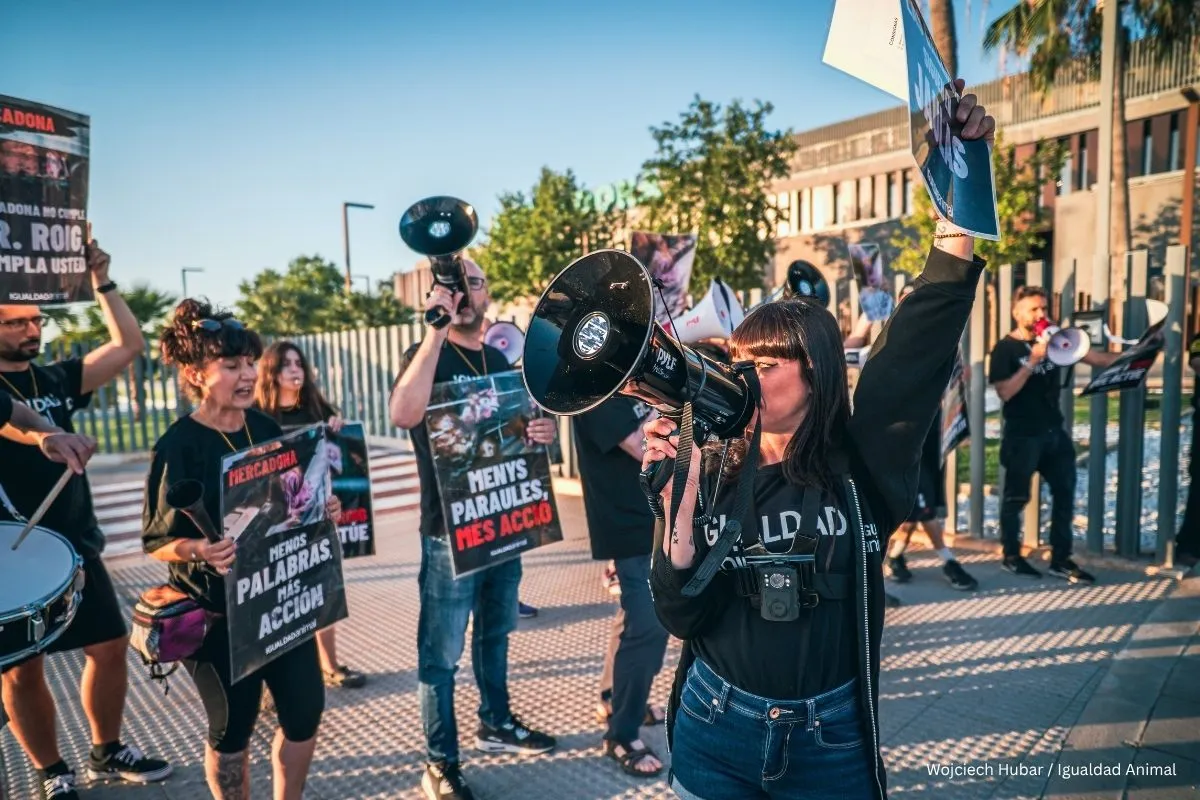 Mercadona:nueva protesta frente a la sede central 1 Noticia segunda protesta sede Mercadona junio